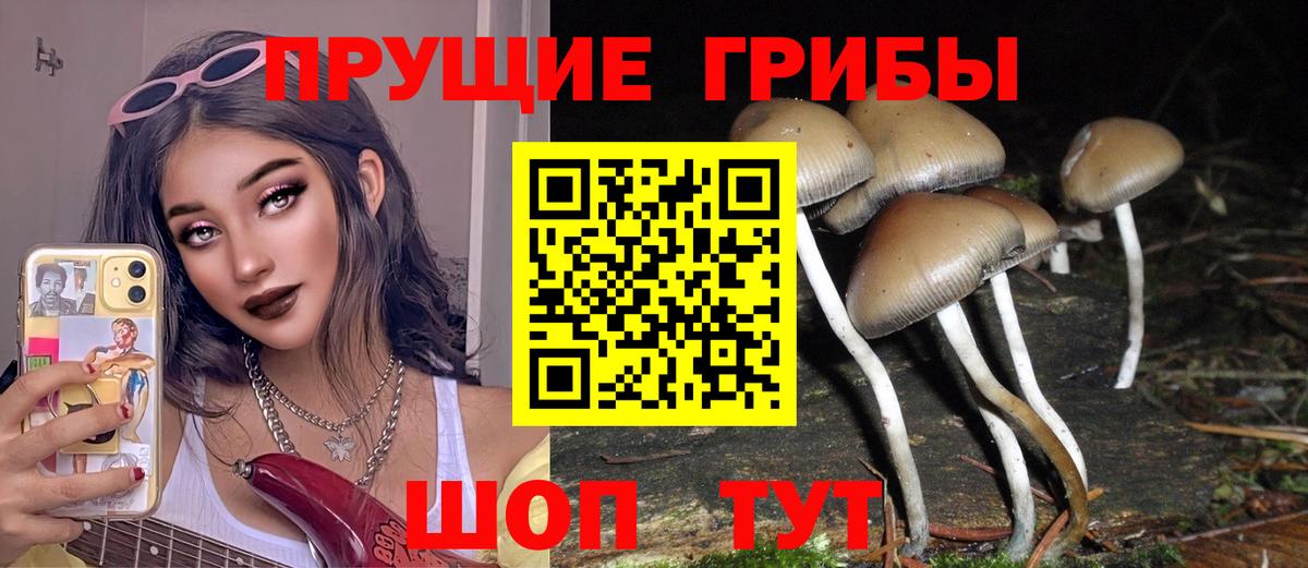 Галлюциногенные грибы прущие грибы Краснокамск