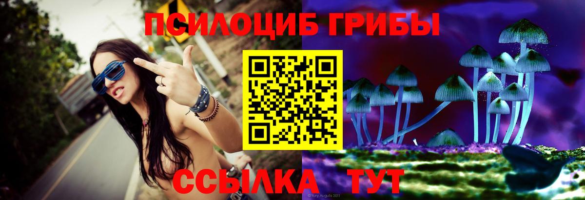 Галлюциногенные грибы Psilocybe  Псилоцибиновые грибы Cubensis  Вход с VPN  Краснокамск 